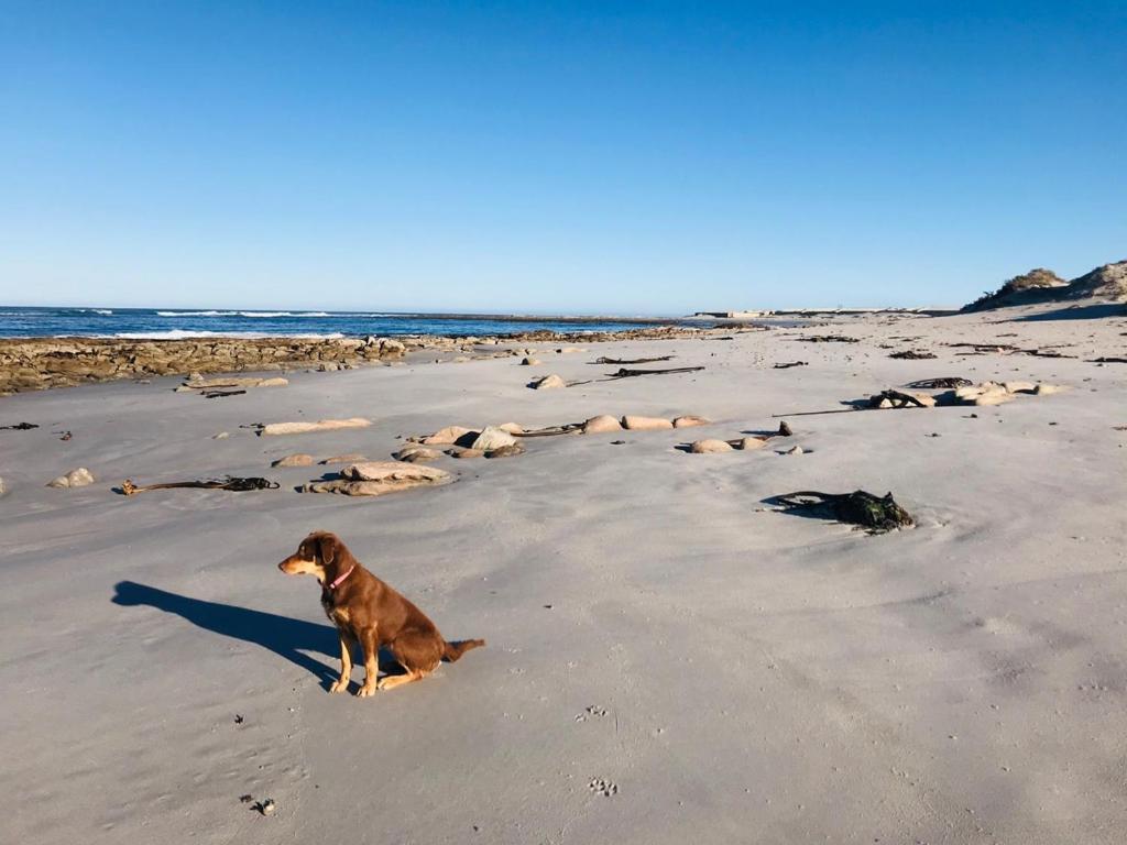 Port Nolloth Beach Shack エクステリア 写真